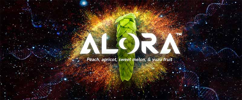 Promotional graphic for Alora hops - A single hop in a space galaxy setting