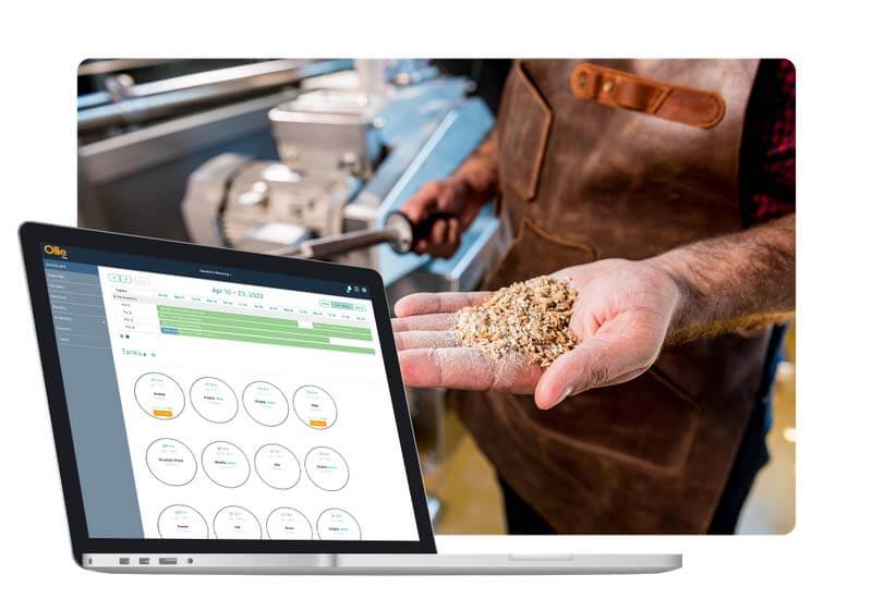 Composity image of an upclose shot of a brewer holding grains and barley with a laptop showing an Ollie dashboard