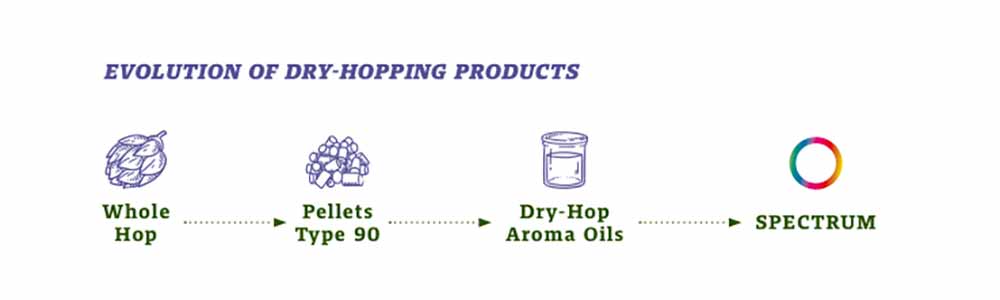 An illustration timeline chart showing the evolution of dry-hopping products, starting with whole hops leading up to SPECTRUM