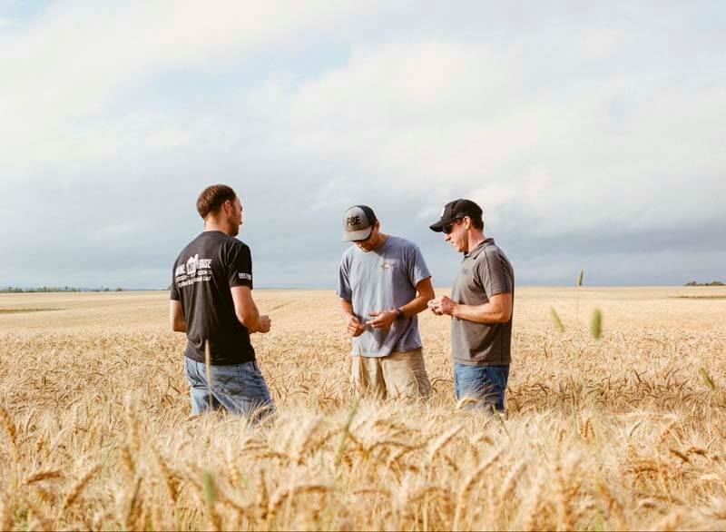 Allagash brewers tour a wheat farm in Maine. Photo Courtesy of Allagash Brewing Company
