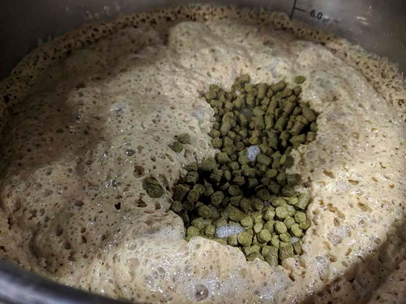 Dry hops placed in a boil during the brewing process