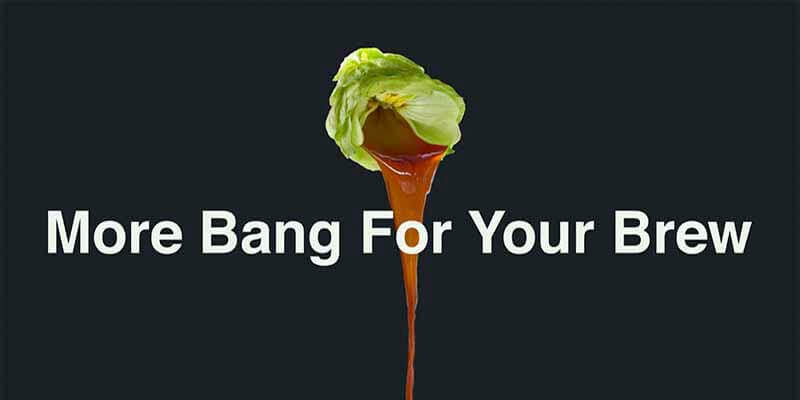 "More Bang For Your Brew" promotional photo for Salvo dry hopping product