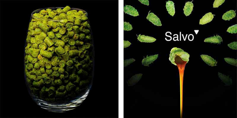 A side-by-side promotional photo showing a glass full of hops and a the Salvo dry hopping logo