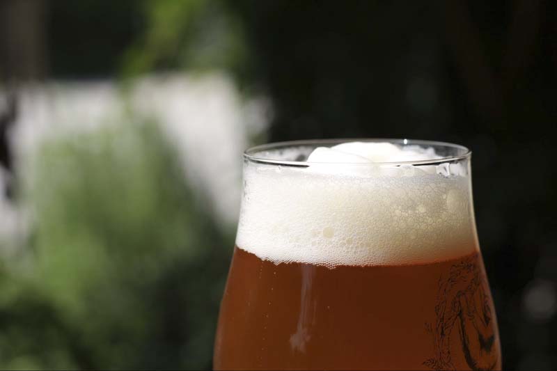 Close up photo of a darker beer in a glass that was brewed using Ollie's yeast management tools