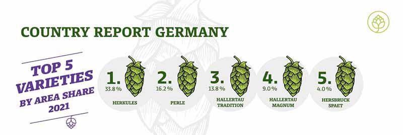 Graphic showing the top 5 hop varieties in Europe by area share