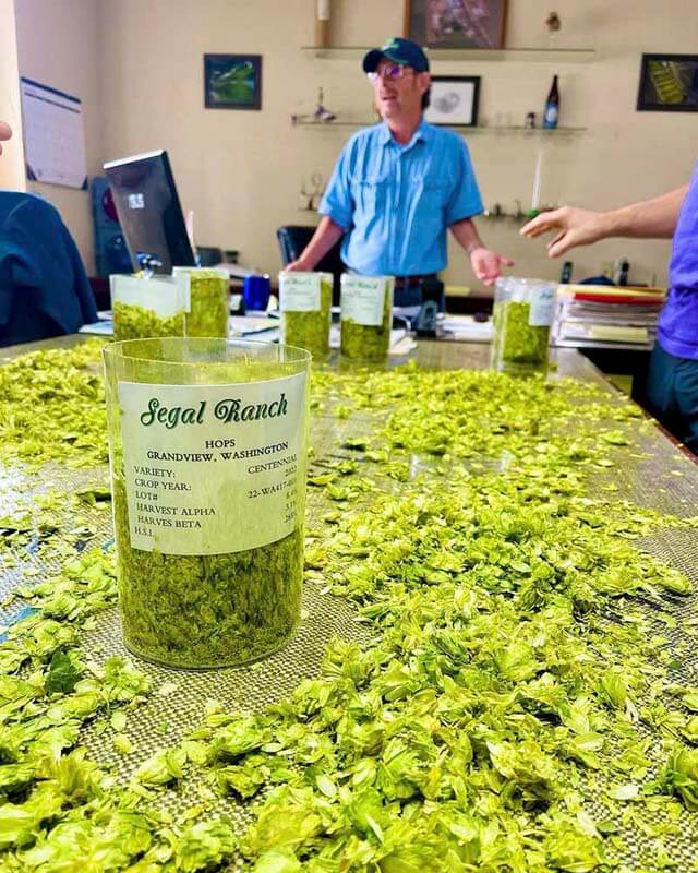 A table full of hops at KCBC