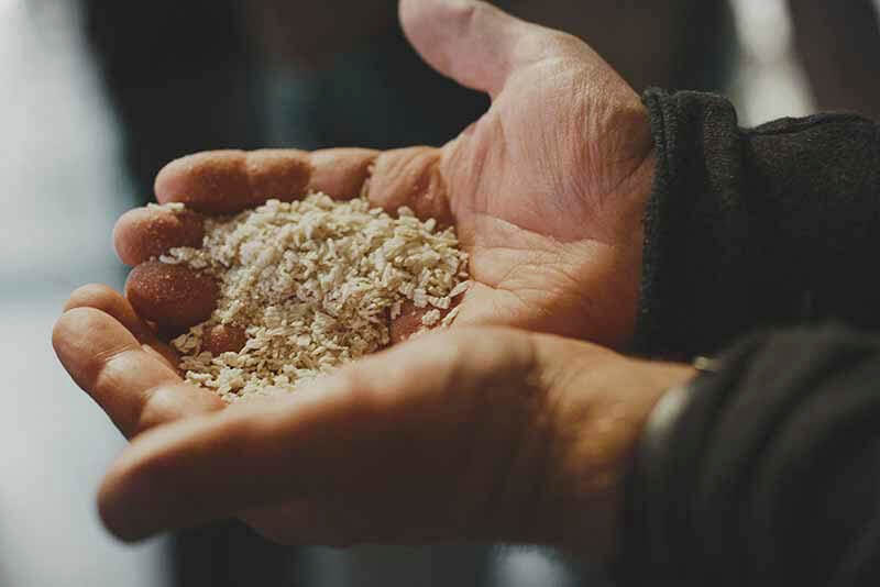 A brewers hand cupping a pile of malts