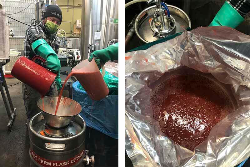 Brewers at Oakshire Brewing making sour smoothie beer with fruit puree