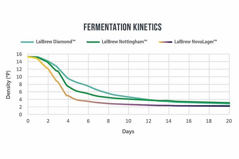 lallemand brewing lalbrew novalager fermentation kinetics