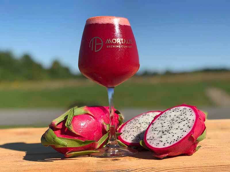 A promotional photo of Medusa, a smoothie beer from Mortalis Brewing Company featuring a glass in an outdoor scene with dragon fruit