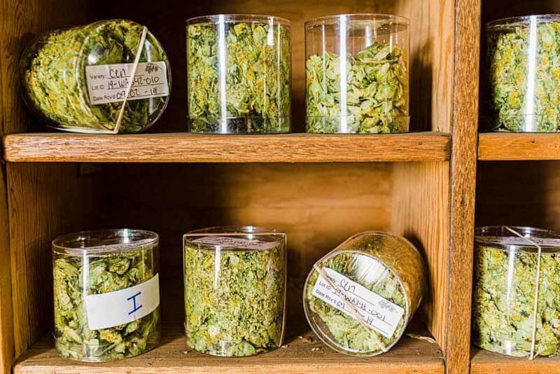 A variety of hops stored in clear containers being stored on a wooden shelf