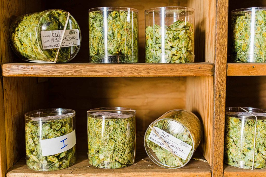 yakima valley hops jars of hops on a shelf