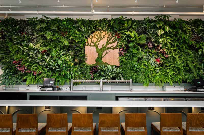 madtree brewing alcove living wall leed certification