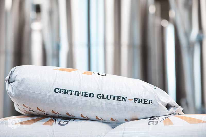holidaily brewing co gluten-free beer