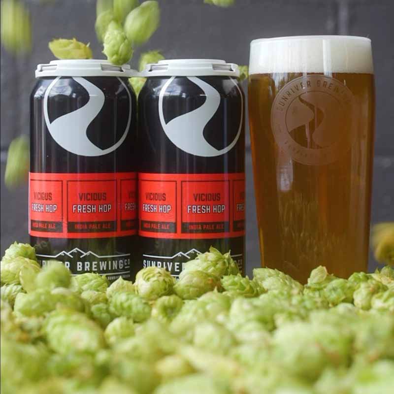 A promotional image of Sunriver Brewing fresh hop beer cans and beer in a glass