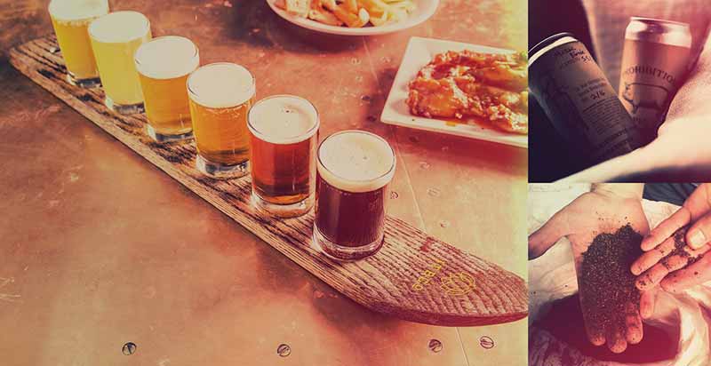 A collage of photos featuring a flight of beer and craft beer cans