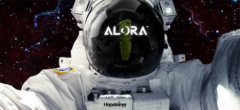Promotional image for Alora, a hop variety from Hopsteiner