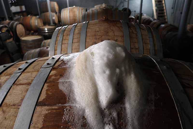 Beer barrels during the souring process at The Referend Bier Blendery