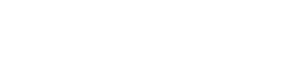 Chandeleur Island Brewing Company, logo, white