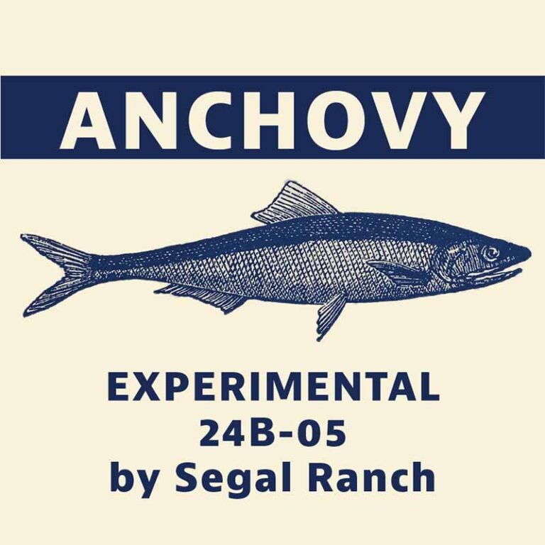 Anchovy Hops from Segal Ranch
