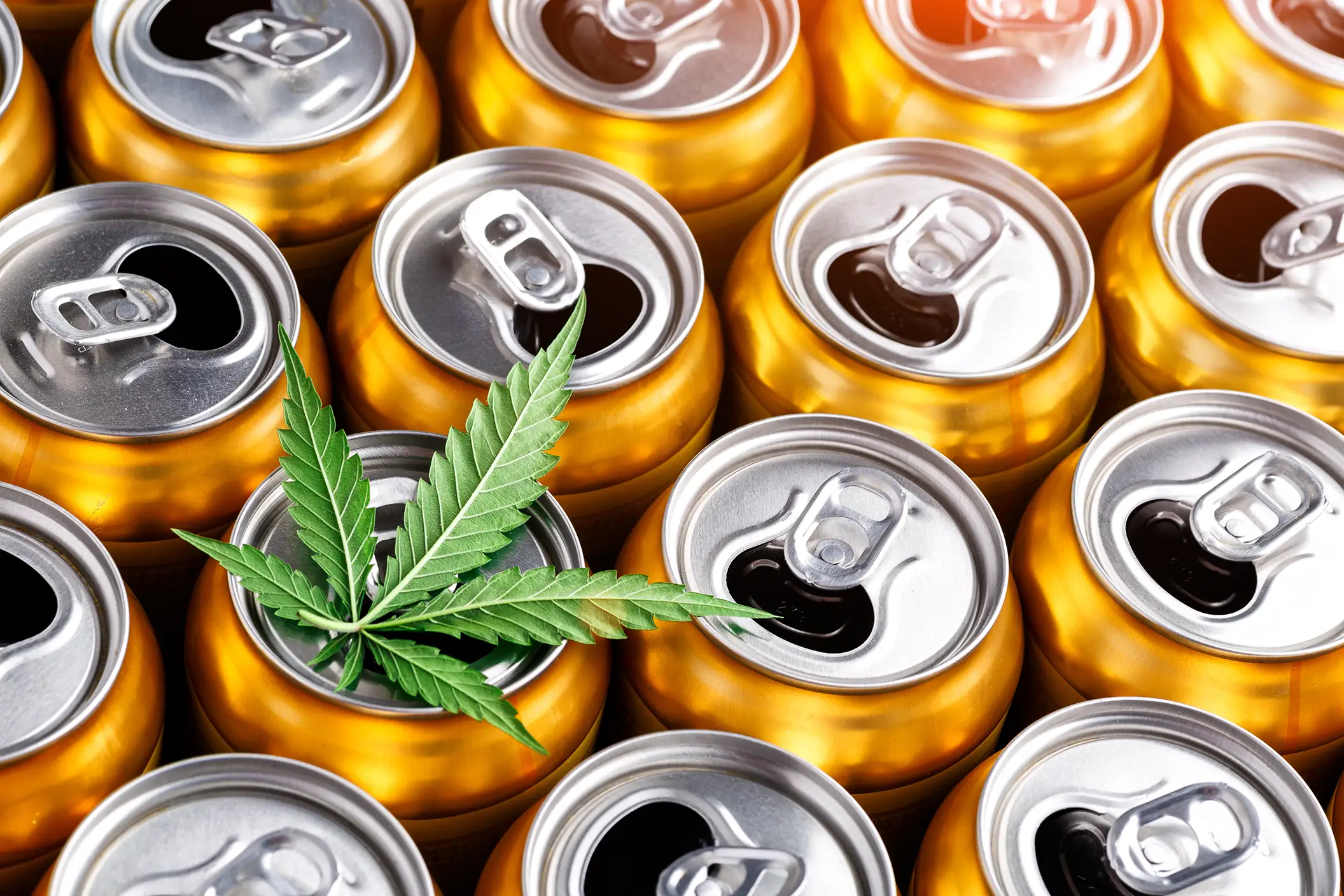 Up close photo of beverage cans with a cannabis leaf on top
